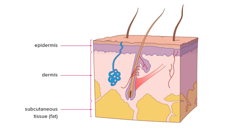 microneedling scalp treatment